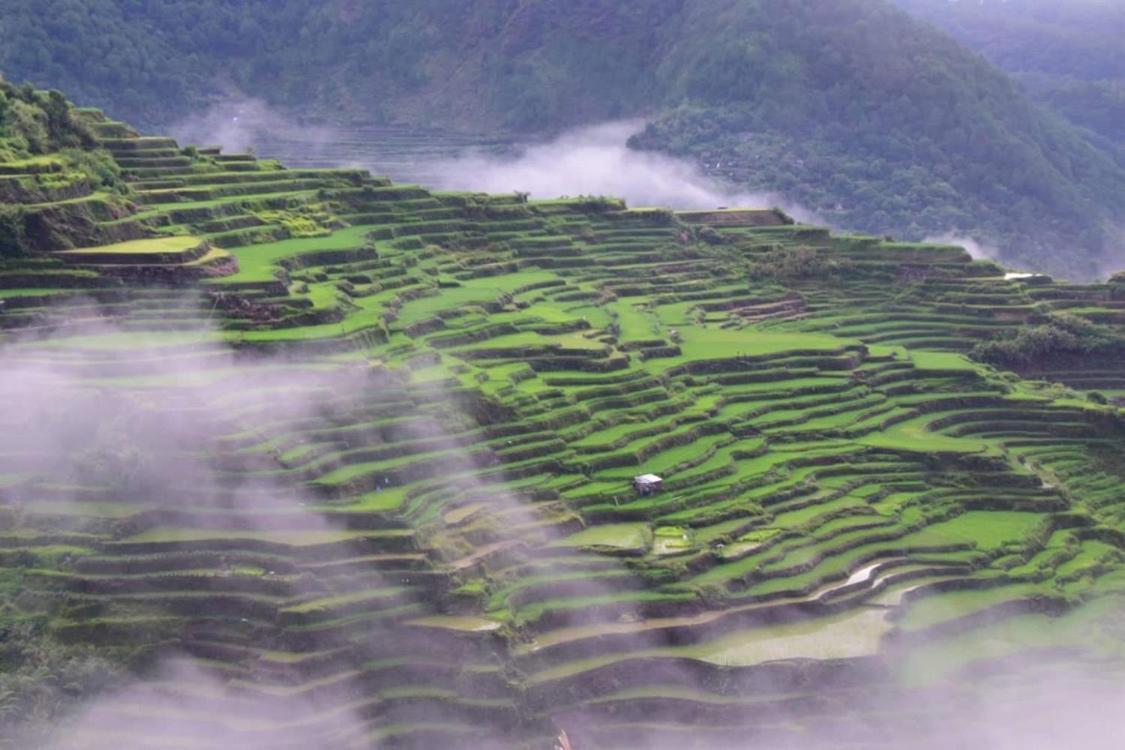 Vilma'S Homestay Bontoc  エクステリア 写真